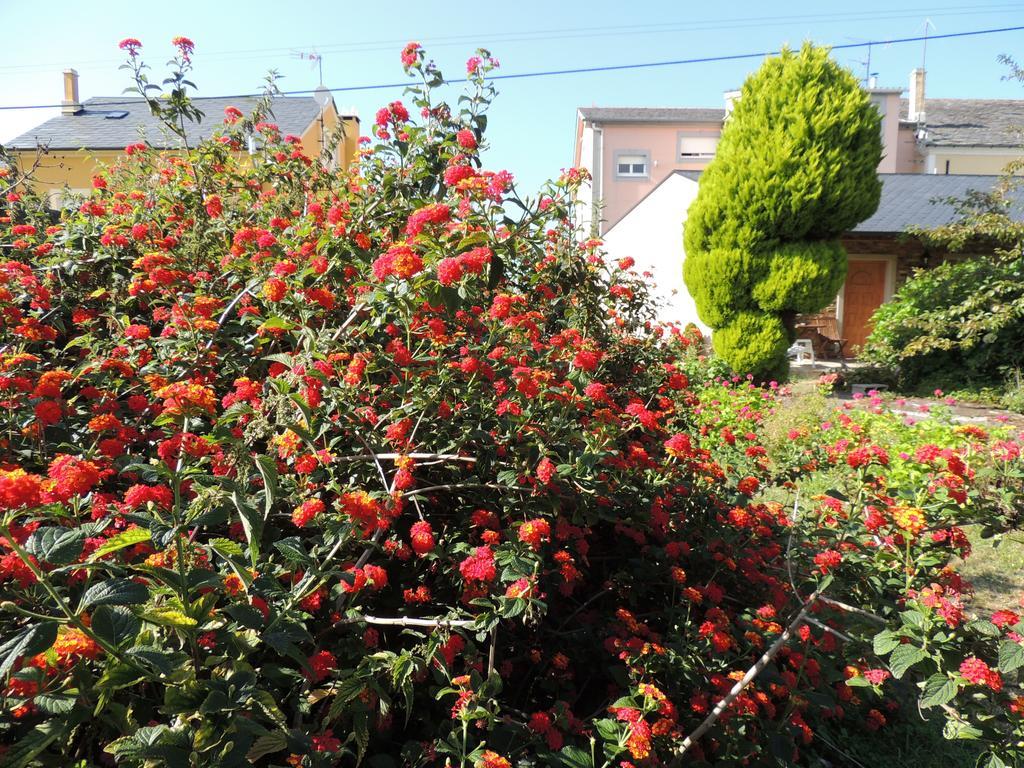 Suit Brais Jardin O Terraza Pensionat Barreiros Exteriör bild